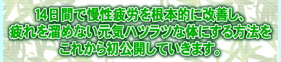 14日間で慢性疲労を根本的に改善し、疲れを溜めない元気ハツラツな体にする方法をこれから初公開していきます。